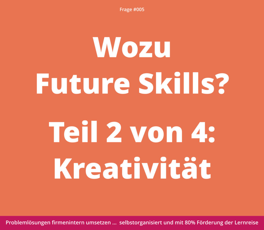 Weißer deutscher Text auf orangefarbenem Hintergrund über "Future Skills" mit Schwerpunkt auf Kreativität, mit einer violetten Fußzeile.