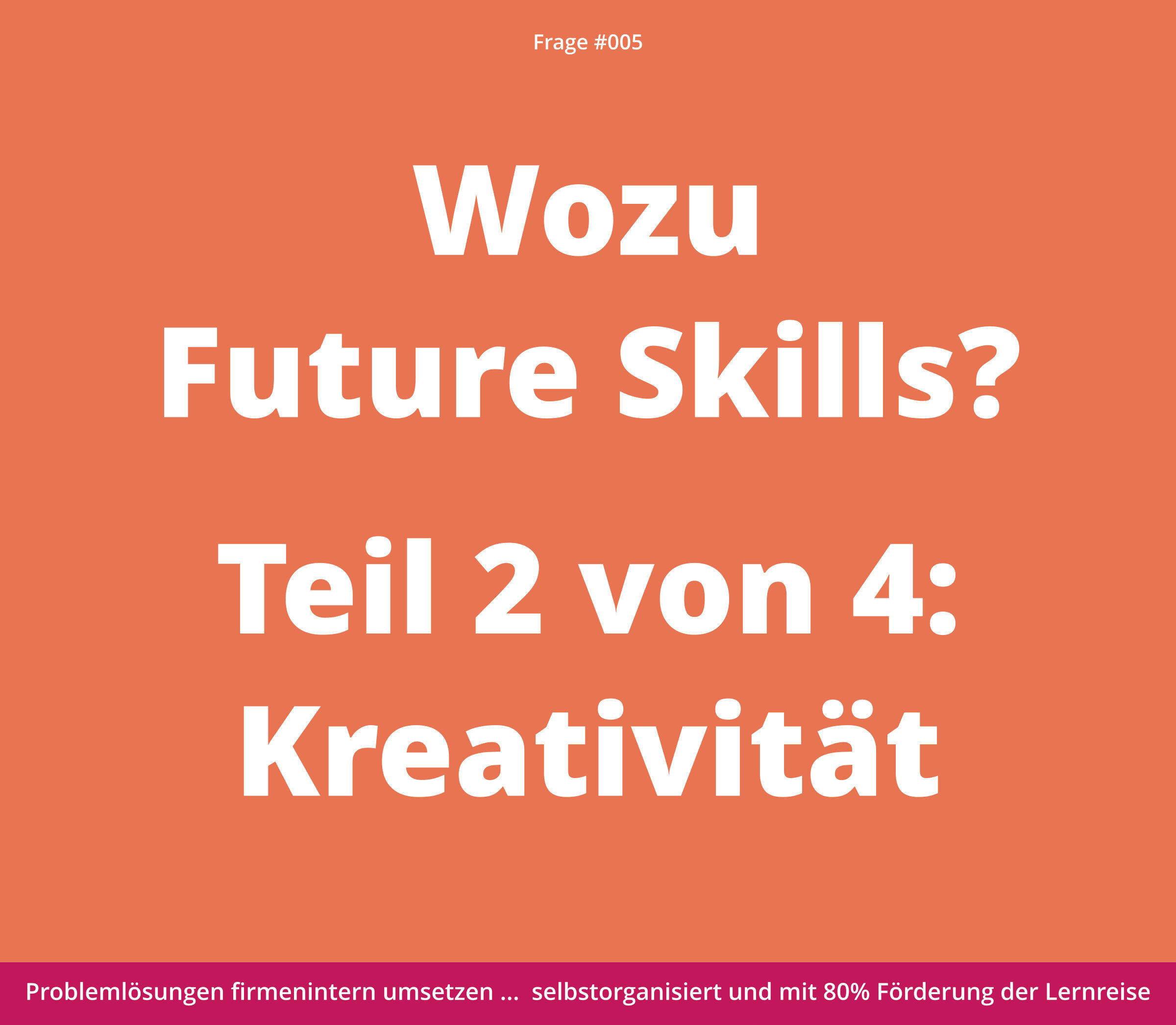 Weißer deutscher Text auf orangefarbenem Hintergrund über "Future Skills" mit Schwerpunkt auf Kreativität, mit einer violetten Fußzeile.
