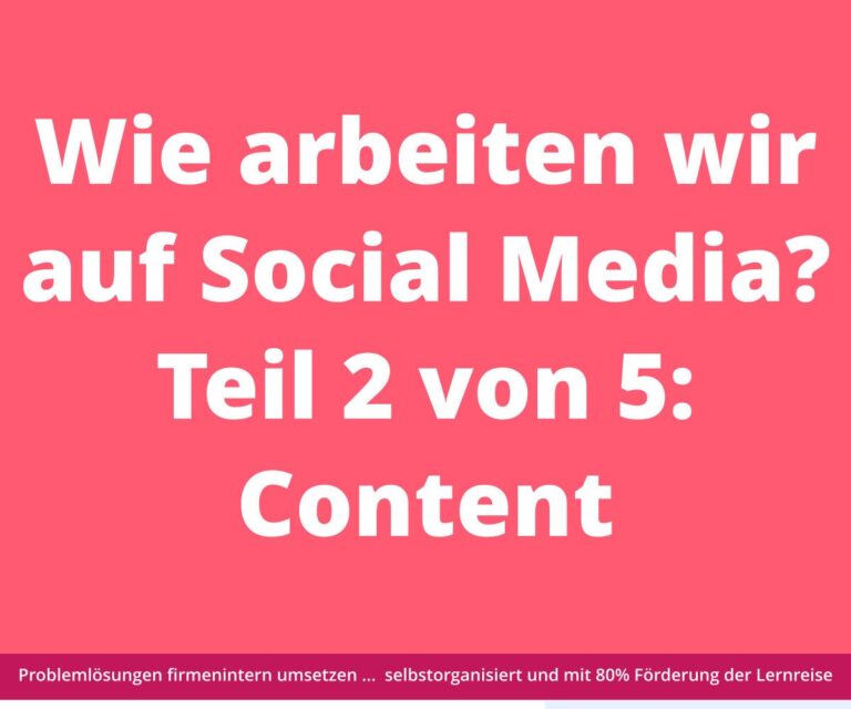 Weißer Text auf rosa Hintergrund: „Wie arbeiten wir in den sozialen Medien? Teil 2 von 5: Inhalte“. Darunter kleiner Text.