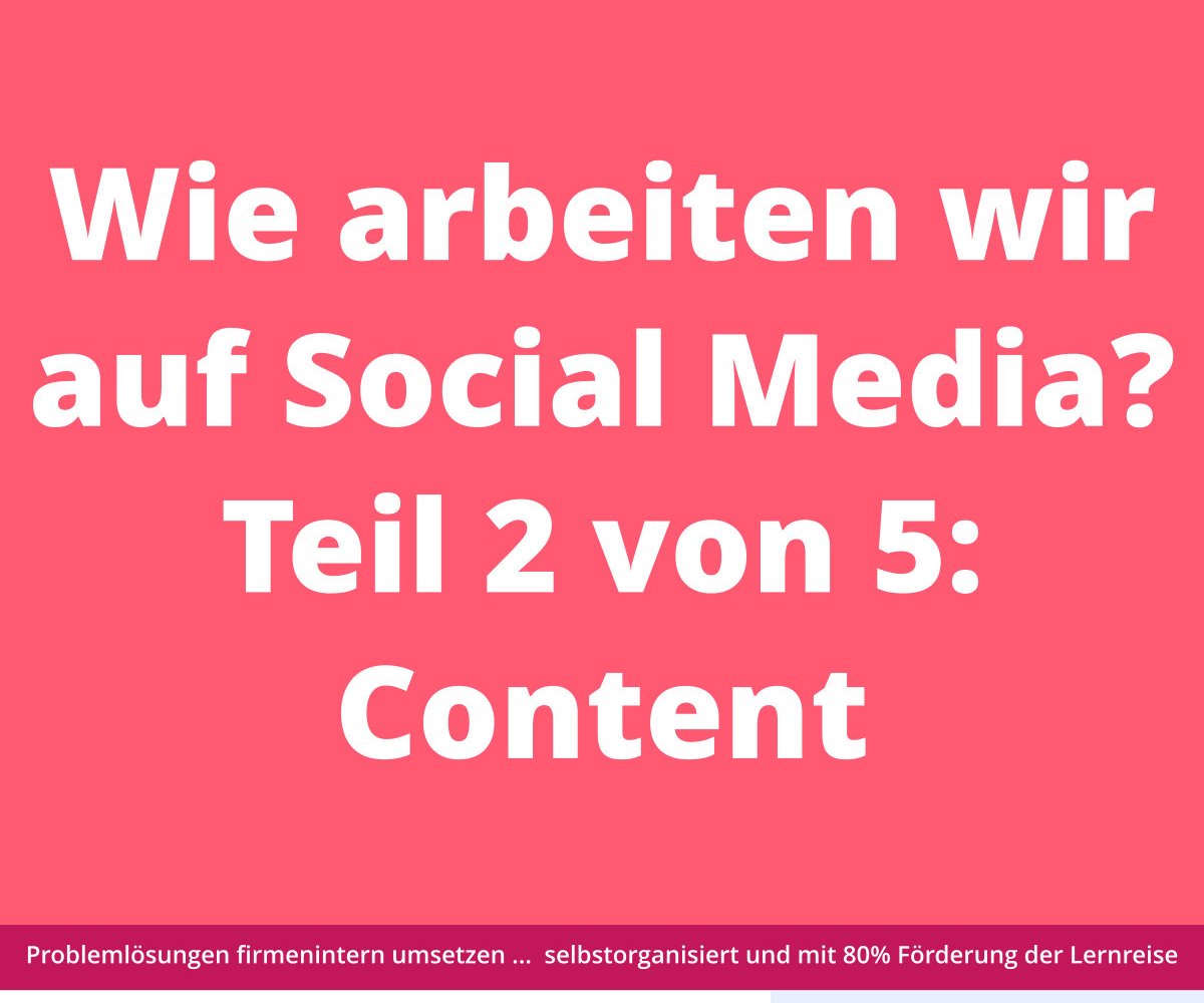 Weißer Text auf rosa Hintergrund: „Wie arbeiten wir in den sozialen Medien? Teil 2 von 5: Inhalte“. Darunter kleiner Text.