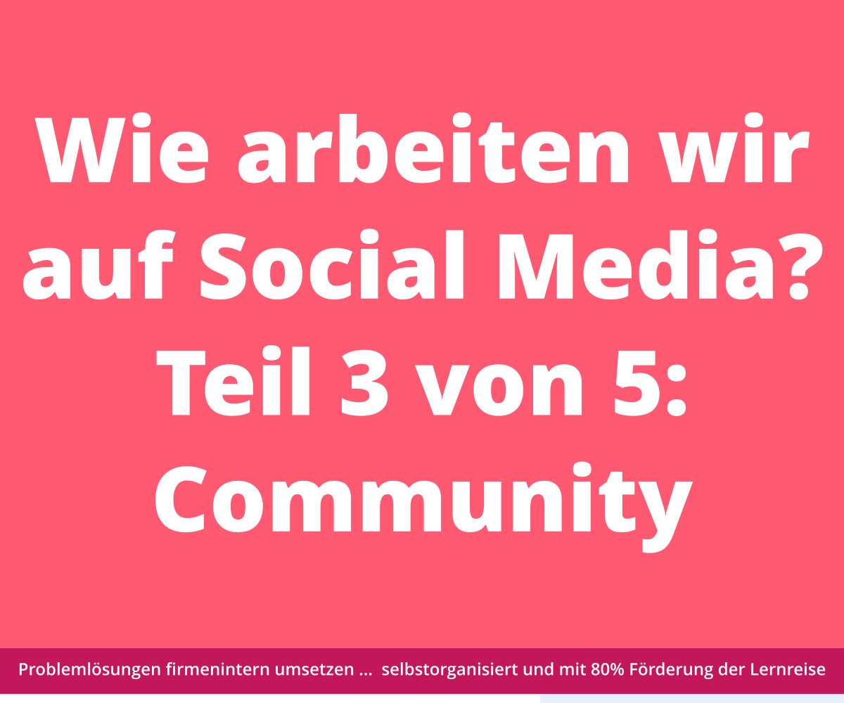 Auf rosa Hintergrund steht in weißer Schrift: „Wie arbeiten wir in den sozialen Medien? Teil 3 von 5: Community.“.