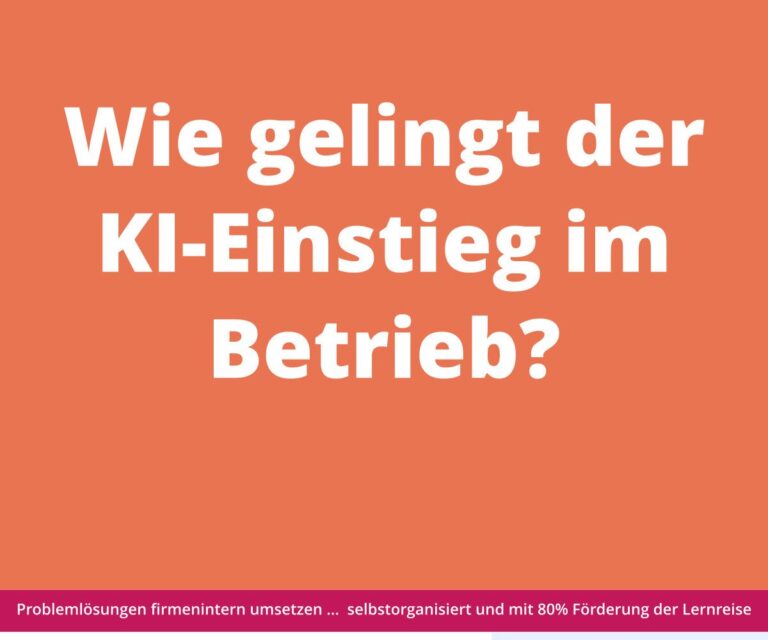 Der weiße deutsche Text auf orangefarbenem Hintergrund lautet: „Wie gelingt der Einstieg in die KI im Unternehmen?“ mit einer Fußzeile auf dunkelrotem Hintergrund.